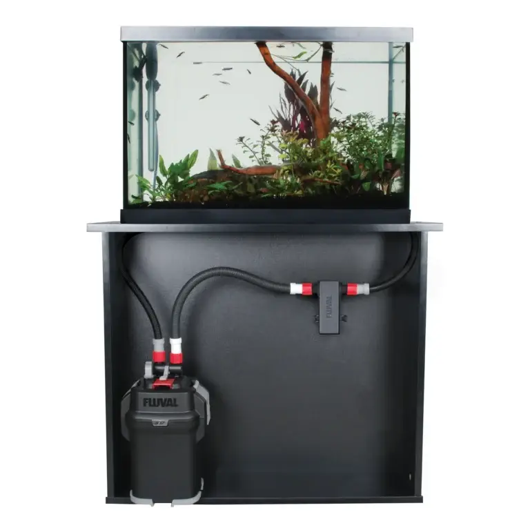 “Cichlid Tank Setup Essentials: Filter & Heater Guide for Thriving Fish”